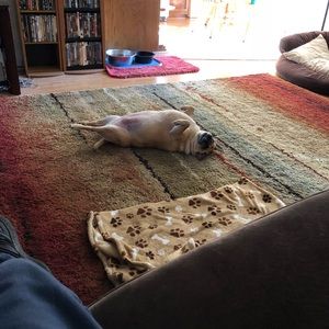 Meet your Posher, Ted